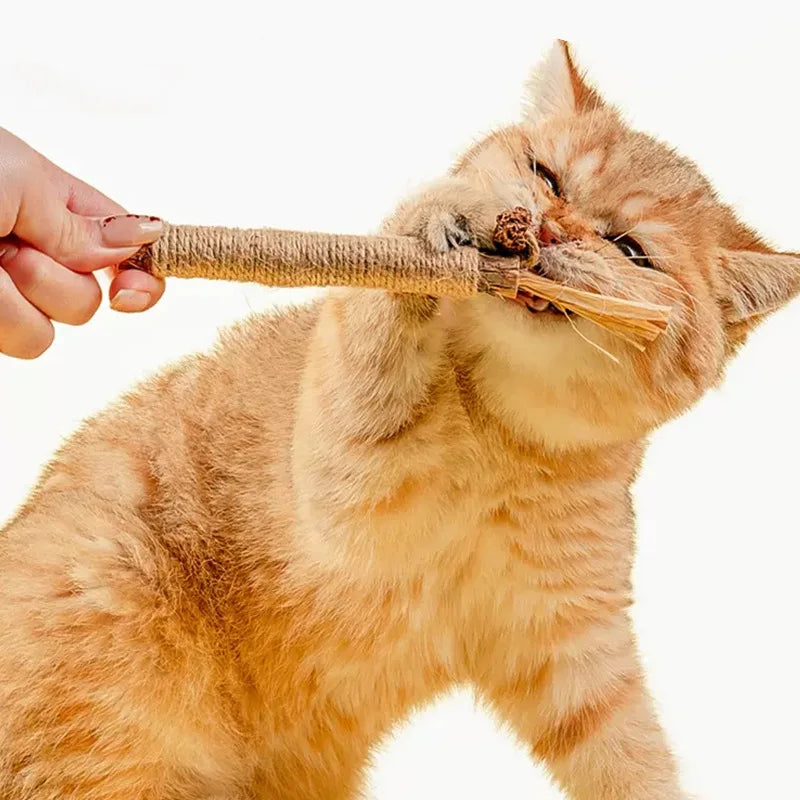 Natural Cat Teeth Cleaning Sticks