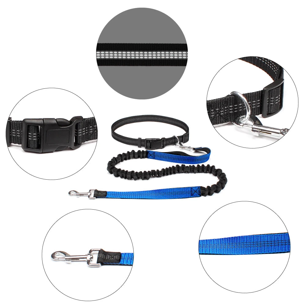 Blu Waist Leash For Dog Walking