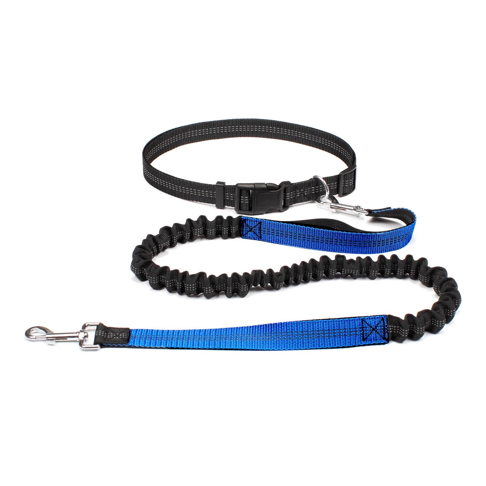 Blu Waist Leash For Dog Walking