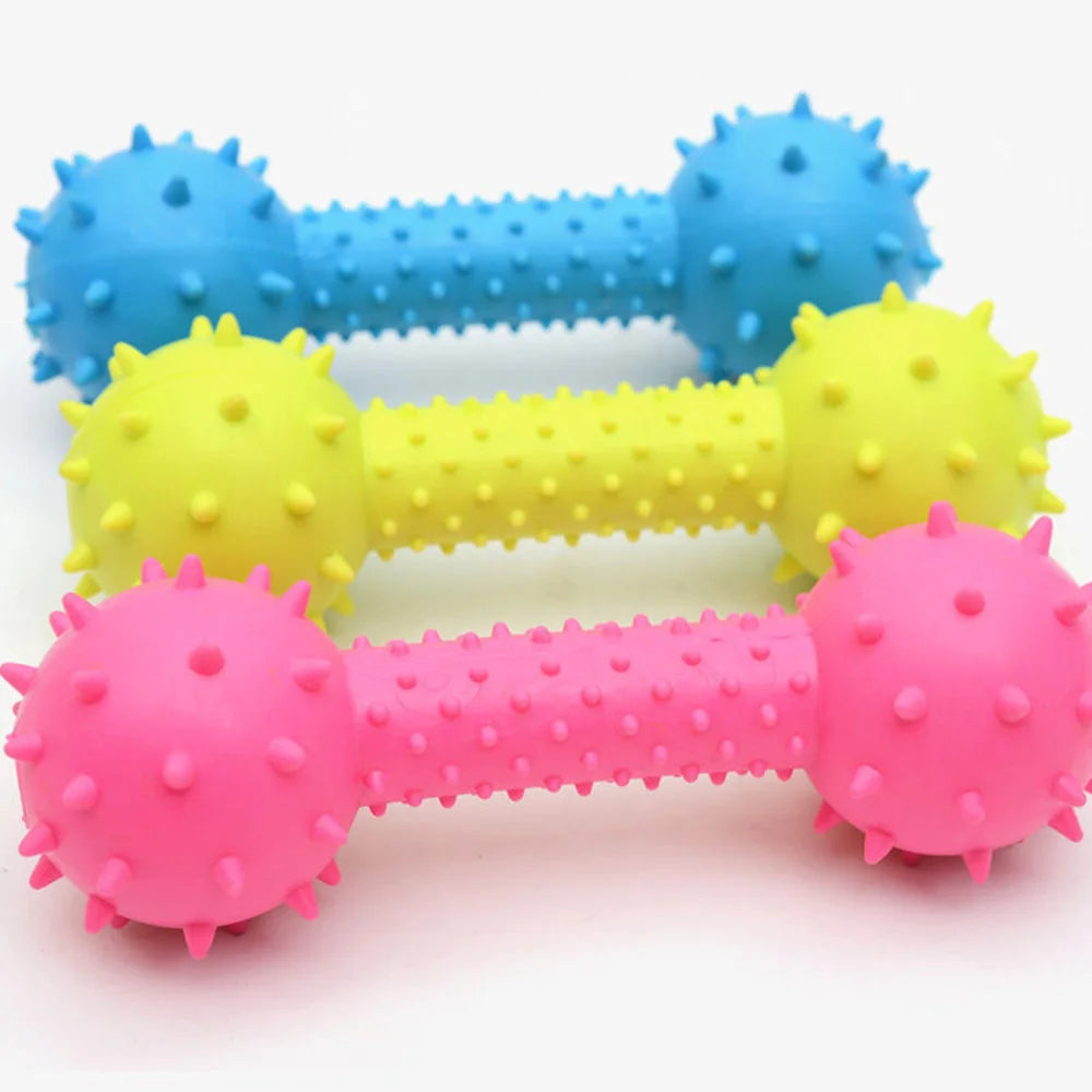 Puppy Squeaky Chew Barbell Toy