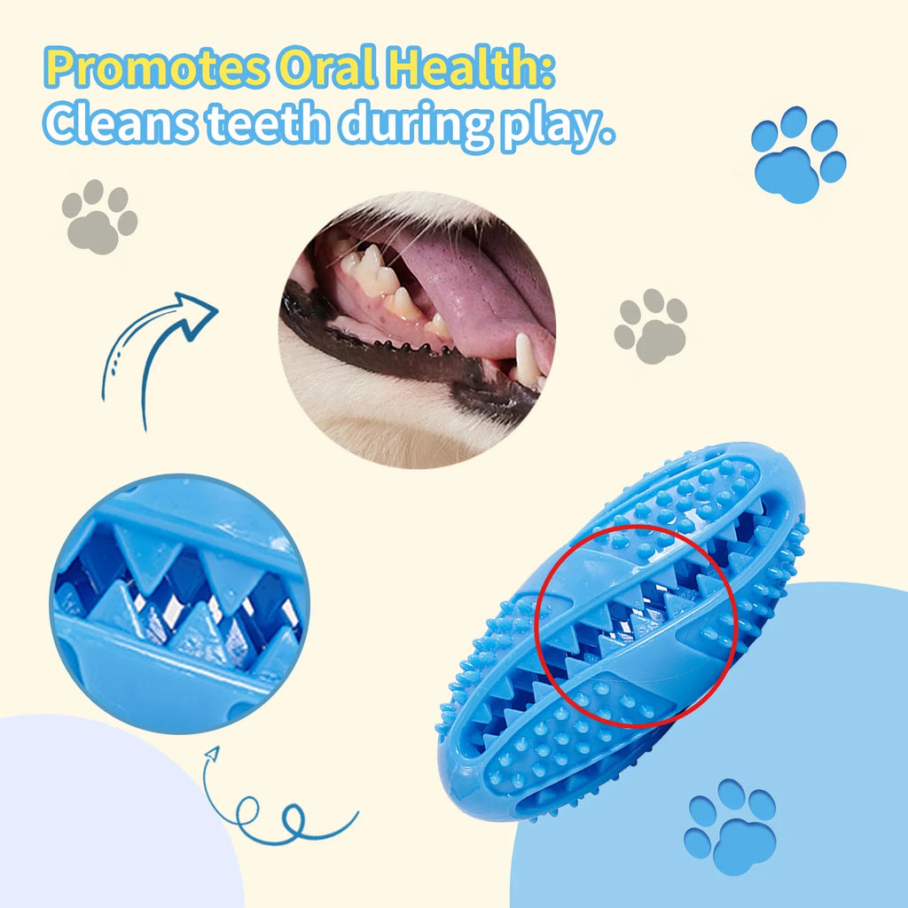 Bite‑Resistant Rubber Dog Toy Ball