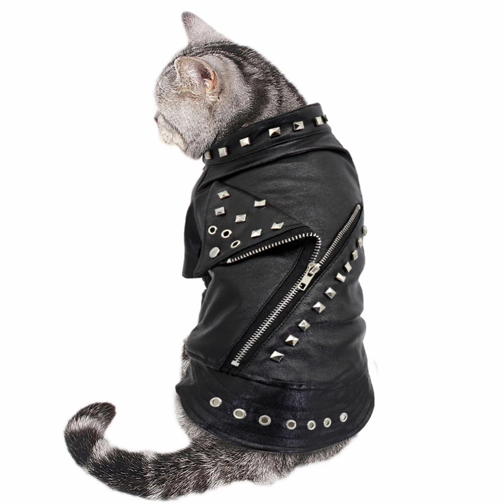 Cool Leather Dog Jacket for Winter