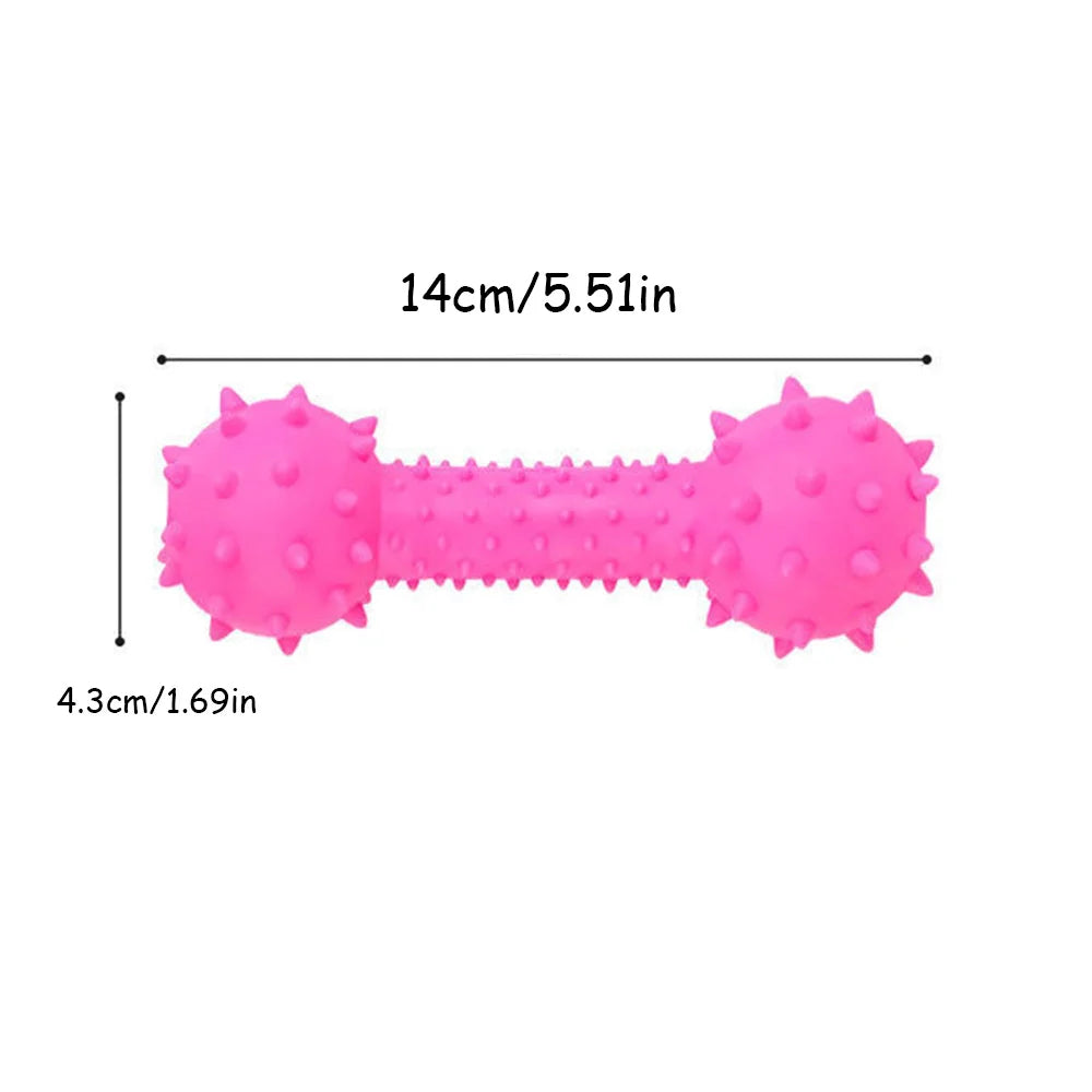 Puppy Squeaky Chew Barbell Toy