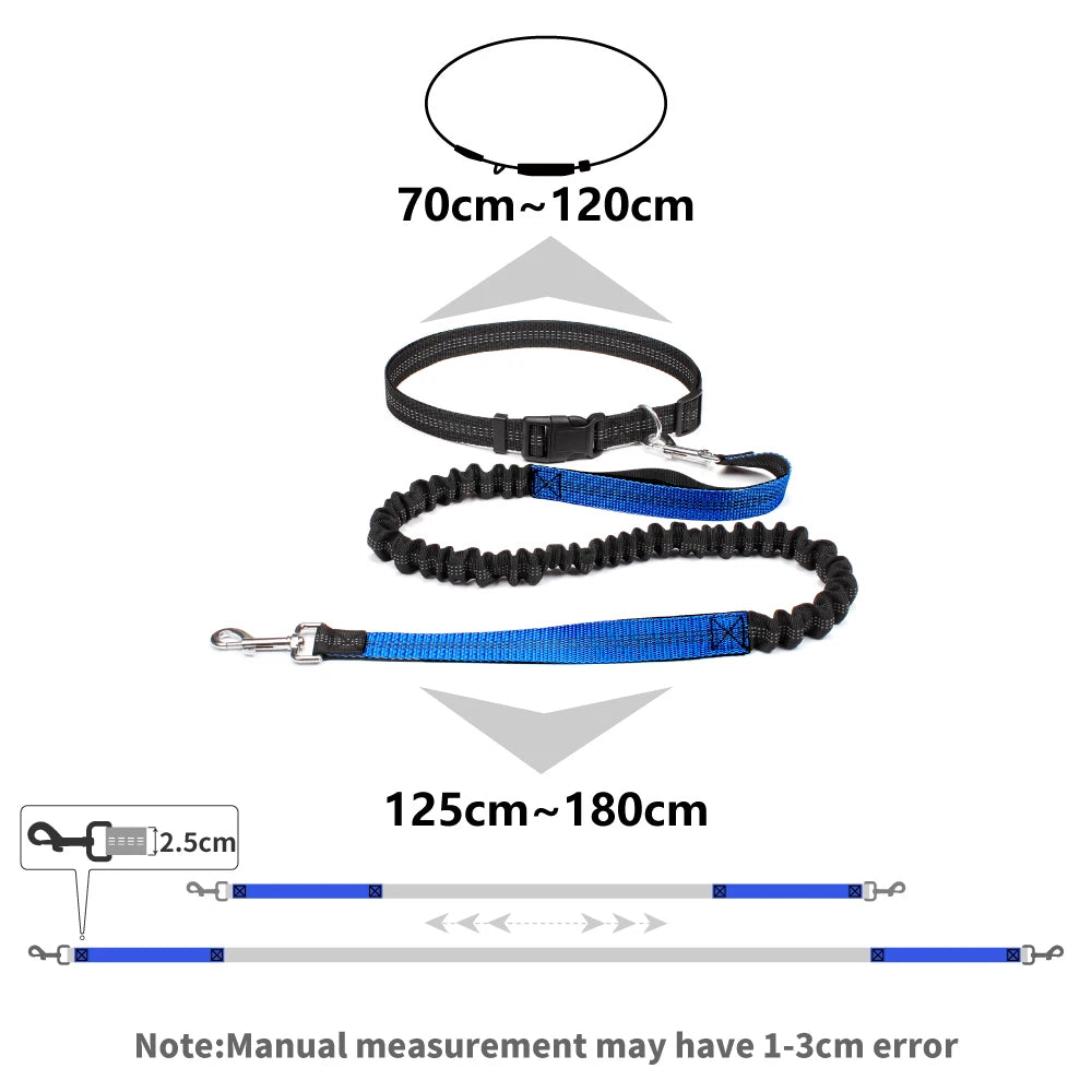 Blu Waist Leash For Dog Walking