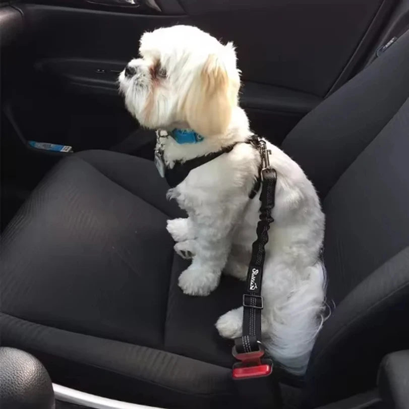 Dog Car Safety Seat Belt Leash